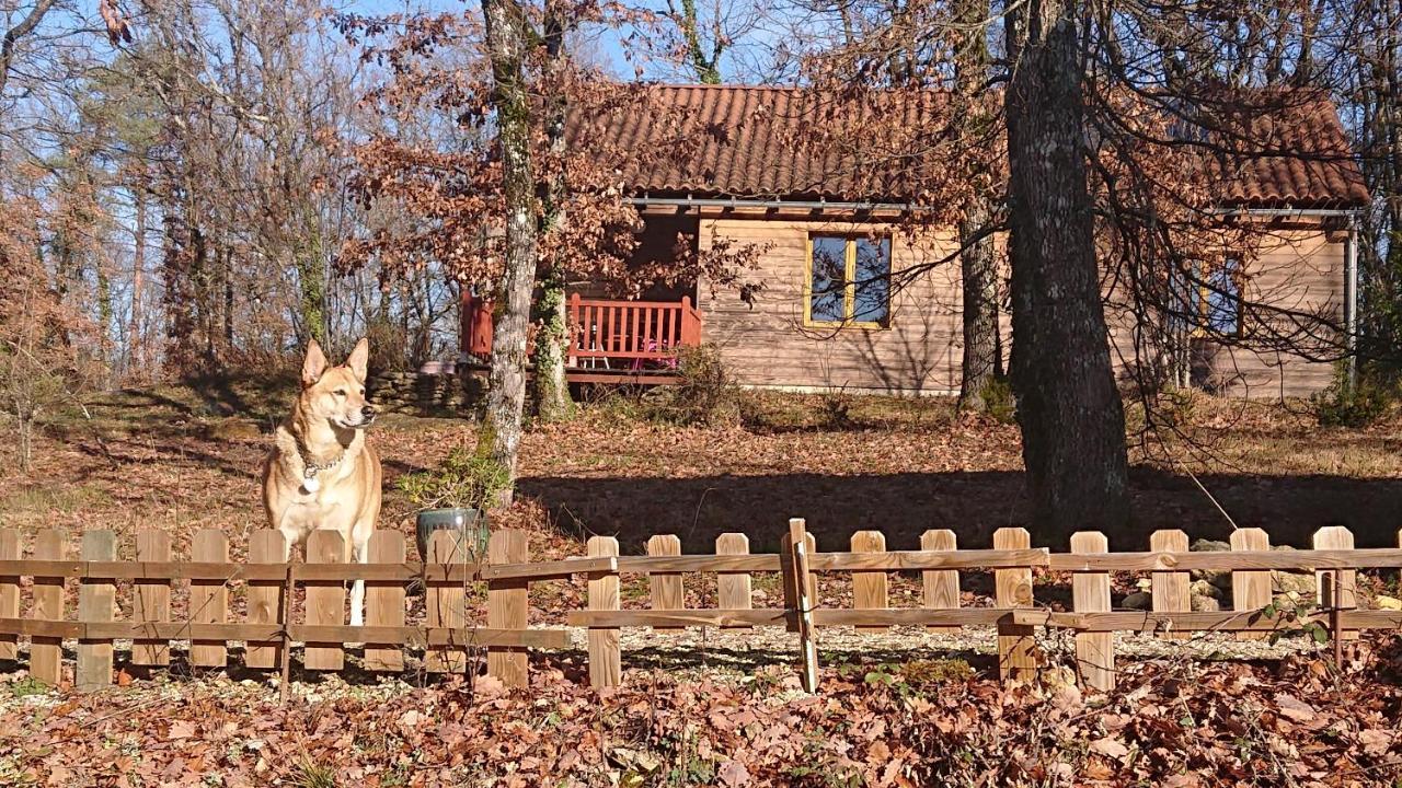 Le Village Enchanteur La Chapelle-Aubareil Exterior foto